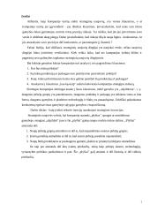 Organizacijos veiklos ypatumai verslo aplinkoje 2 puslapis