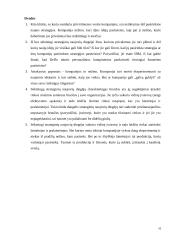 Organizacijos veiklos ypatumai verslo aplinkoje 10 puslapis