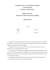 Viešųjų ryšių veiklos esmė įmonės strategijoje 2 puslapis