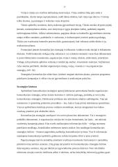 Viešųjų ryšių veiklos esmė įmonės strategijoje 17 puslapis