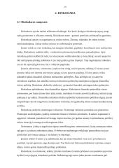 Viešųjų ryšių veiklos esmė įmonės strategijoje 19 puslapis