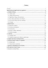 Viešųjų ryšių veiklos esmė įmonės strategijoje 4 puslapis