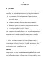 Viešųjų ryšių veiklos esmė įmonės strategijoje 9 puslapis