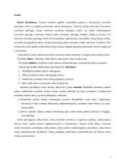 Vaikų dienos centrų poveikis socialiniu įgūdžių formavimuisi 2 puslapis