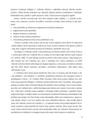 Vaikų dienos centrų poveikis socialiniu įgūdžių formavimuisi 14 puslapis