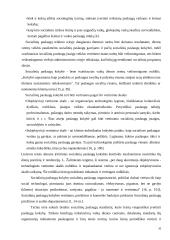 Vaikų dienos centrų poveikis socialiniu įgūdžių formavimuisi 20 puslapis