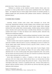 Valstybinio socialinio draudimo įmokų mokėjimo prievolė. Kursinis darbas 7 puslapis