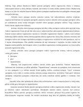 Valstybės sienos apsaugos tarnybos organizavimas nurodytose valstybėse 13 puslapis
