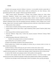 Valstybės sienos apsaugos tarnybos organizavimas nurodytose valstybėse 15 puslapis