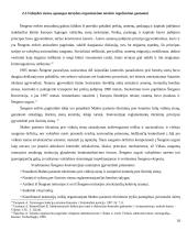 Valstybės sienos apsaugos tarnybos organizavimas nurodytose valstybėse 10 puslapis