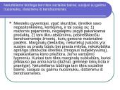 Vartotojiška visuomenė skaidrės 9 puslapis