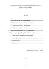 Veiksmingos valdymo kontrolės užtikrinimo sąlygos 