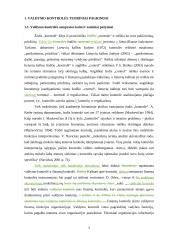 Veiksmingos valdymo kontrolės užtikrinimo sąlygos  2 puslapis