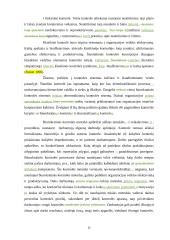 Veiksmingos valdymo kontrolės užtikrinimo sąlygos  11 puslapis