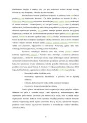 Veiksmingos valdymo kontrolės užtikrinimo sąlygos  12 puslapis