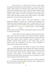 Veiksmingos valdymo kontrolės užtikrinimo sąlygos  13 puslapis