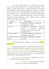 Veiksmingos valdymo kontrolės užtikrinimo sąlygos  15 puslapis