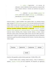 Veiksmingos valdymo kontrolės užtikrinimo sąlygos  16 puslapis