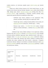 Veiksmingos valdymo kontrolės užtikrinimo sąlygos  17 puslapis