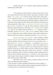 Veiksmingos valdymo kontrolės užtikrinimo sąlygos  18 puslapis