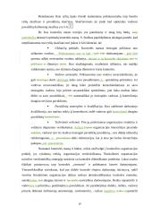 Veiksmingos valdymo kontrolės užtikrinimo sąlygos  19 puslapis