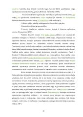 Veiksmingos valdymo kontrolės užtikrinimo sąlygos  20 puslapis