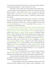 Veiksmingos valdymo kontrolės užtikrinimo sąlygos  3 puslapis