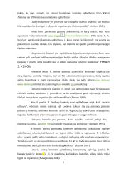 Veiksmingos valdymo kontrolės užtikrinimo sąlygos  4 puslapis