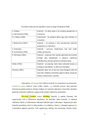 Veiksmingos valdymo kontrolės užtikrinimo sąlygos  5 puslapis