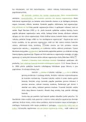 Veiksmingos valdymo kontrolės užtikrinimo sąlygos  6 puslapis