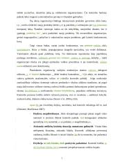 Veiksmingos valdymo kontrolės užtikrinimo sąlygos  7 puslapis