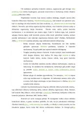 Veiksmingos valdymo kontrolės užtikrinimo sąlygos  8 puslapis