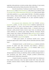 Veiksmingos valdymo kontrolės užtikrinimo sąlygos  10 puslapis