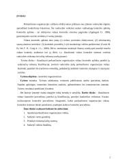 Administracinė teisinė viešųjų pirkimų kontrolė 2 puslapis