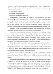 Administracinė teisinė viešųjų pirkimų kontrolė 12 puslapis