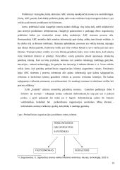 Administracinė teisinė viešųjų pirkimų kontrolė 19 puslapis