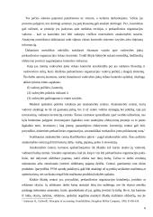 Administracinė teisinė viešųjų pirkimų kontrolė 6 puslapis