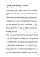 Administracinė teisinė viešųjų pirkimų kontrolė 10 puslapis
