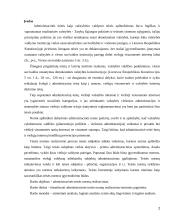 Administracinės teisės normų realizavimas Lietuvoje 2 puslapis