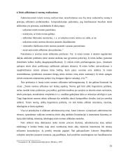 Administracinės teisės normų realizavimas Lietuvoje 11 puslapis