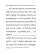 Administracinė atsakomybė už netinkamą ataskaitų ir dokumentų apie savo, įmonės pajamas, turtą, pelną ir mokesčius pateikimą  9 puslapis