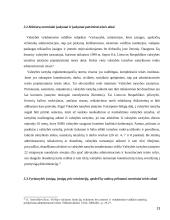 Poįstatyminiai teisės aktai administracinėje sistemoje 13 puslapis