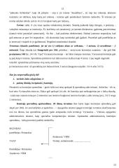 Administracinės proceso teisės konspektas 13 puslapis