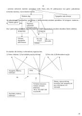 Administracinės proceso teisės konspektas 18 puslapis