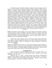 Savivaldos kontrolės institucijų dokumentų maketai 15 puslapis