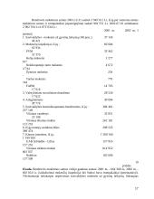 Savivaldos kontrolės institucijų dokumentų maketai 17 puslapis