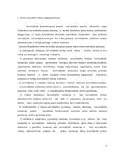 Savivaldos kontrolės institucijų dokumentų maketai 3 puslapis