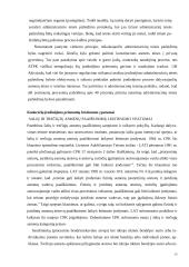 Įrodymai administraciniame procese  13 puslapis