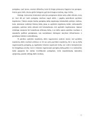 Apylinkės inspektoriaus darbo organizavimas  12 puslapis