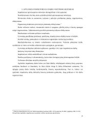 Apylinkės inspektoriaus darbo organizavimas  20 puslapis